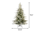 Afmetingen van gesneeuwde dennenboom: 180 cm hoog en 132 cm breed