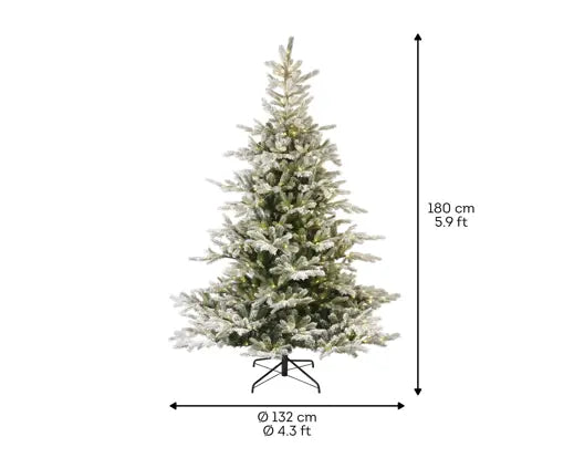 Afmetingen van gesneeuwde dennenboom: 180 cm hoog en 132 cm breed