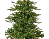 Everlands - Grandis fir Micro LED indoor 150cm