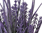 Lavendel in pot plastic assorti
