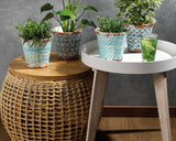 Planter terracotta assorti