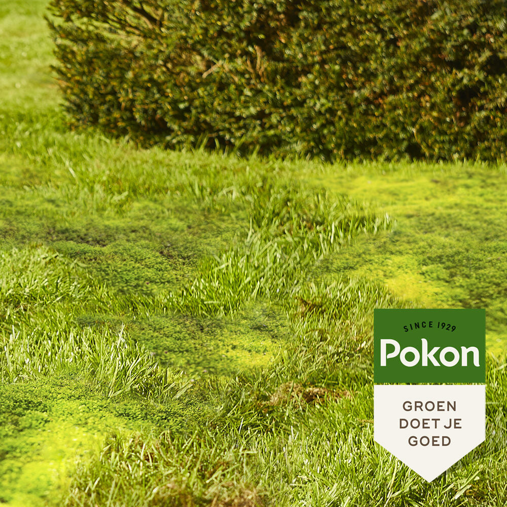 Pokon Mos Weg! strooibus 400gr