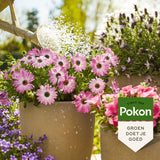 Pokon Terras & Balkon Planten Voeding 1L