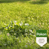 Pokon Onkruid Weg! strooibus 400gr