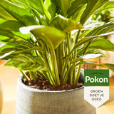 Pokon - Groene Planten Voeding 500ml