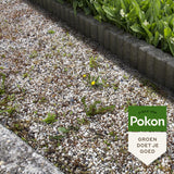Pokon Tegen Onkruid Concentraat 225ml