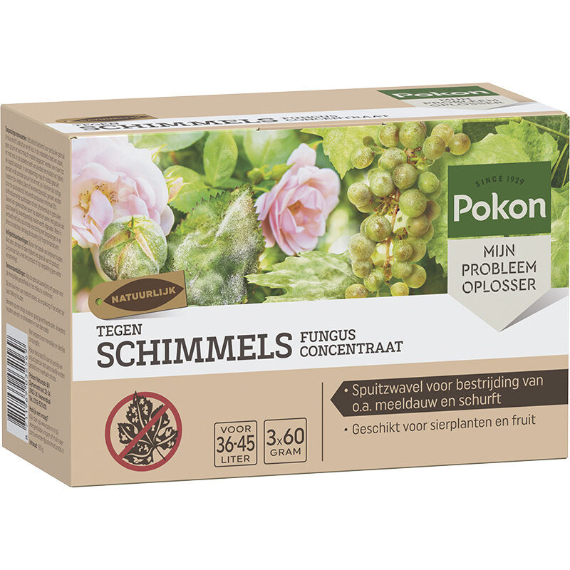 Schimmelbestrijding