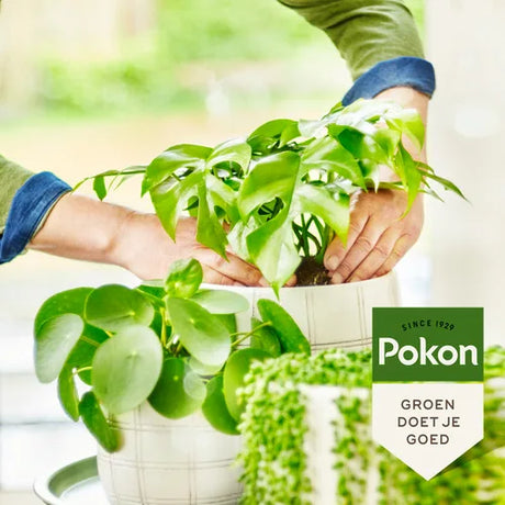 Pokon - BIO Groene Planten Voeding 500ml