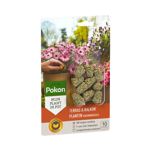Pokon terras & balkon plantenvoedingskegels doos, 10 stuks
