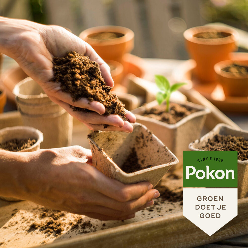 Pokon - Stekpoeder 25Gr