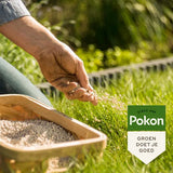 Pokon kalkstrooien: hand met korrels op groen gazon