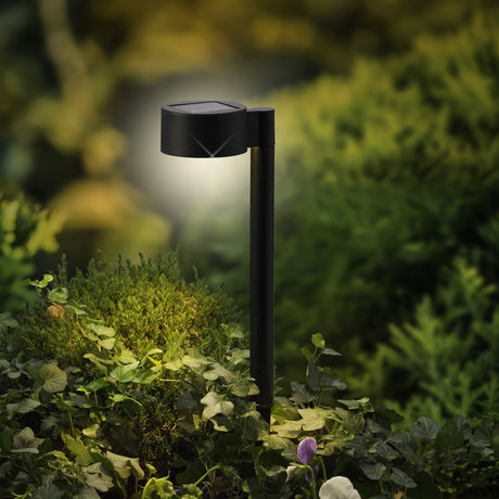 Solar stake light plastic steady