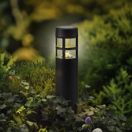 Solar stake light plastic steady