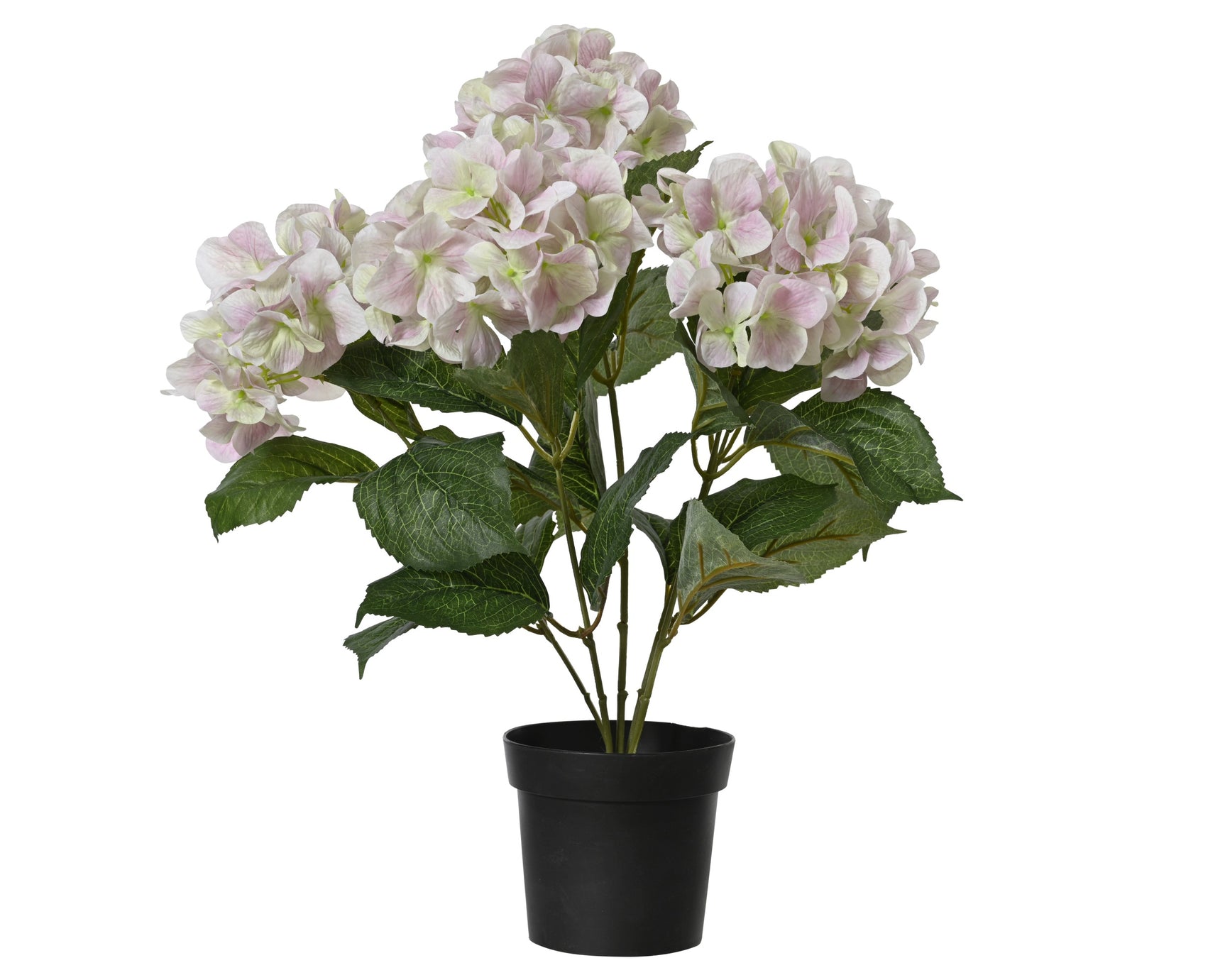 Polyester hortensia in zwarte pot, met paarse en witte bloemschermen en groene bladeren.