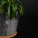 Kurk onderzetter rond onder een pot met groene plant