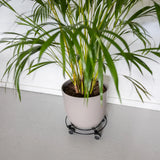 Metalen plant trolley maat S - indoor