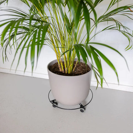 Metalen plant trolley maat L - indoor