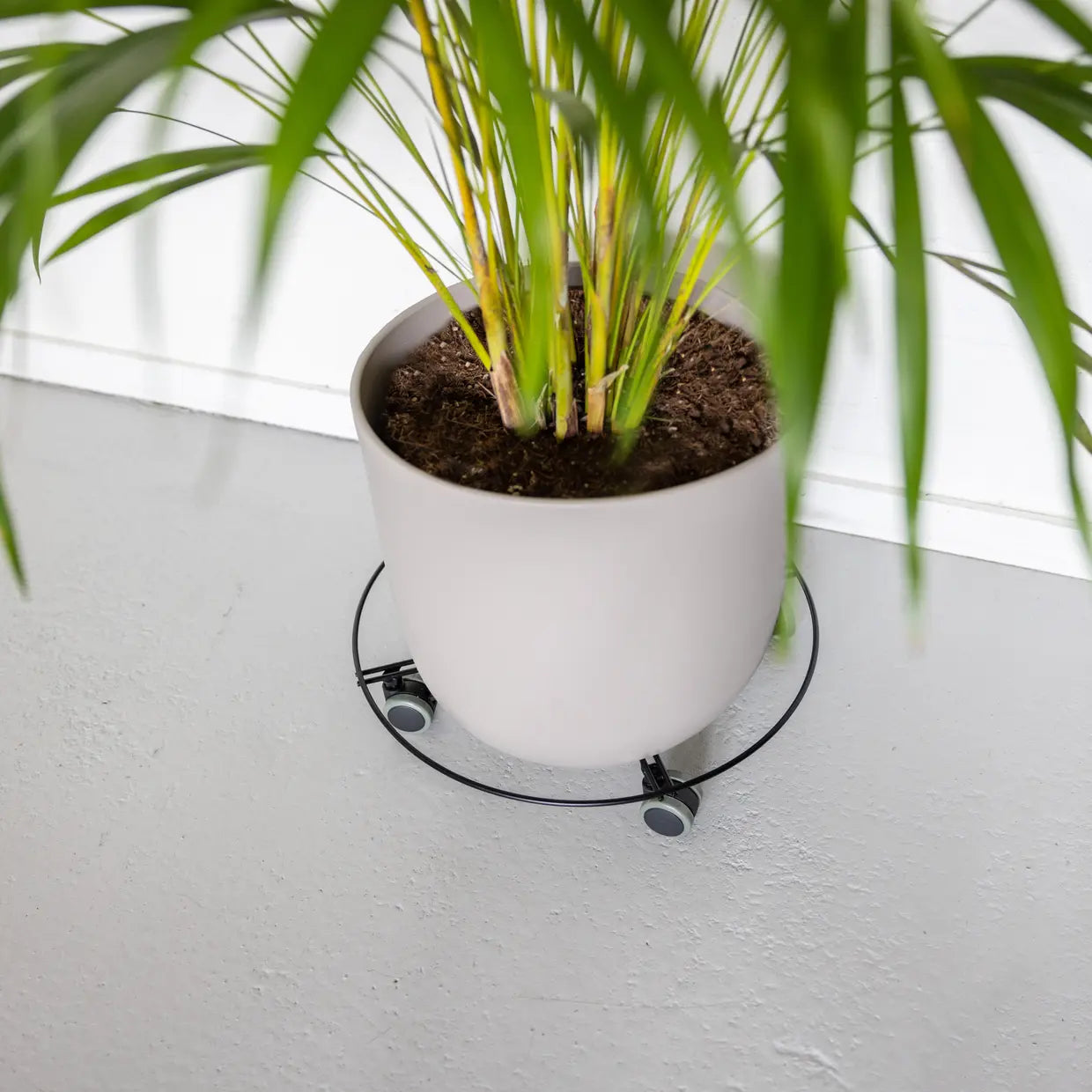 Metalen plant trolley maat L - indoor