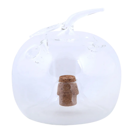 Transparante appelvormige fruitvliegenval met glazen koepel en kurkplug.