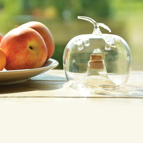 Transparante appelvormige fruitvliegenval met glazen koepel en kroonopening.