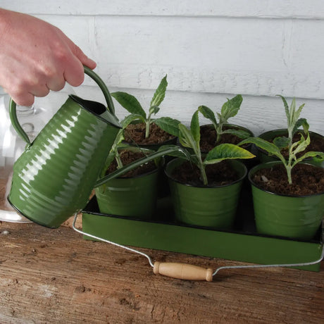 Esschert design - Bloemengieter assorti 1 liter (per stuk)