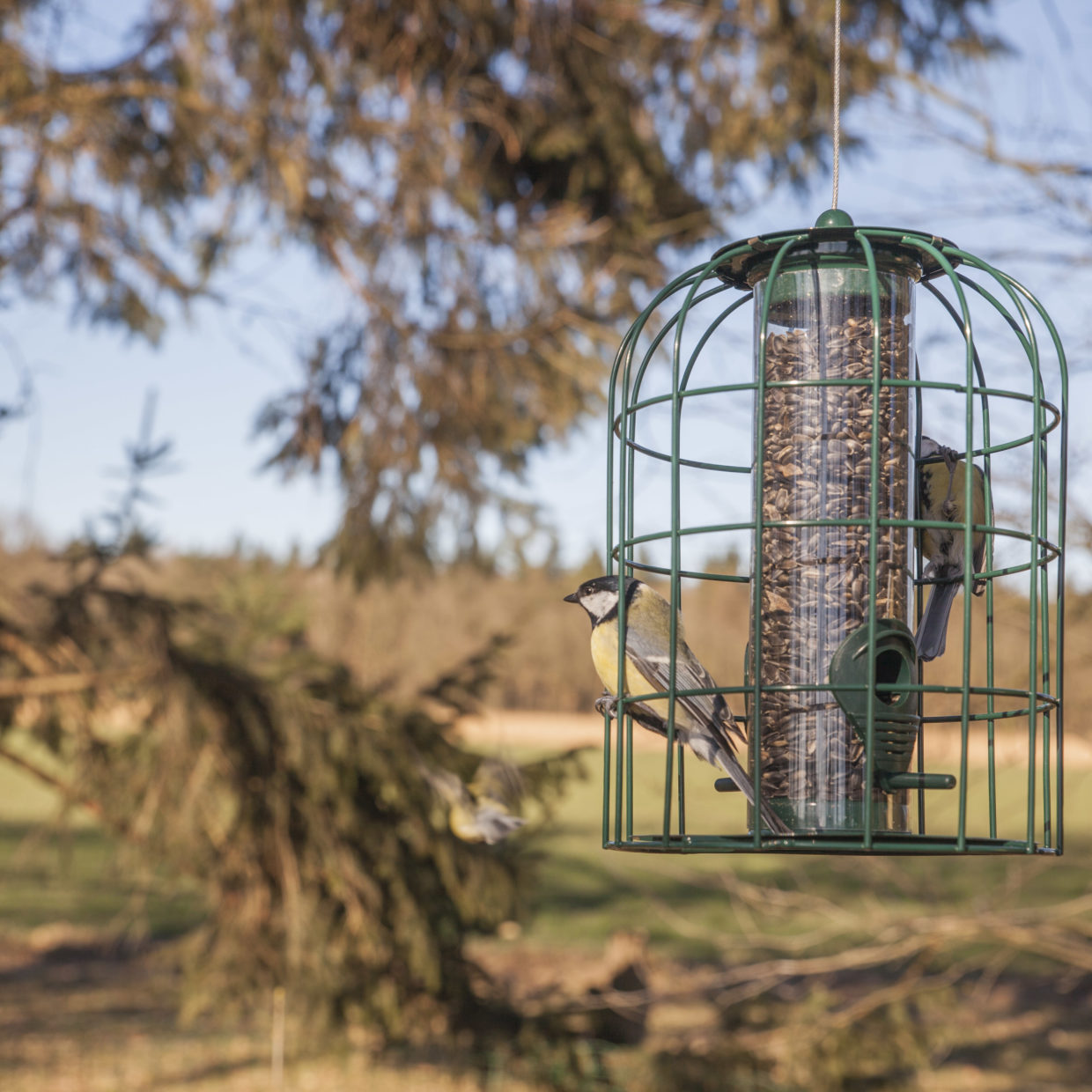 Esschert design - Selectieve voedersilo