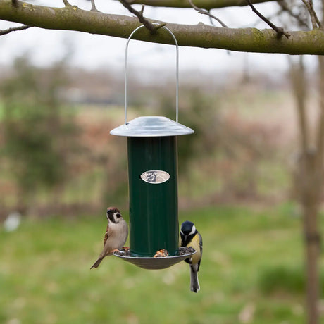 Groene vogelvoedersilo met hangbeugel en voerschaal, twee vogels eten bij de opening