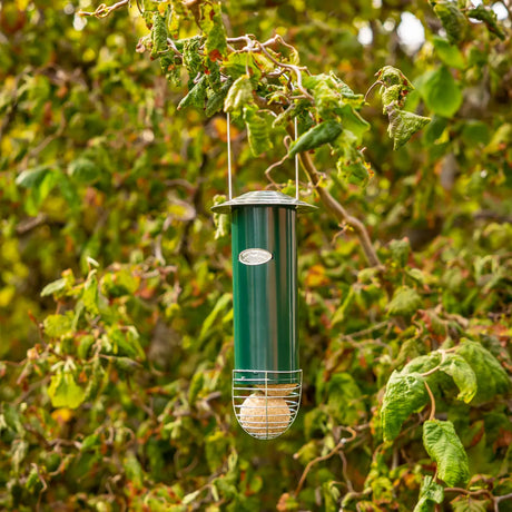 Groene vetbollenautomaat met hangkoord en draad voermand