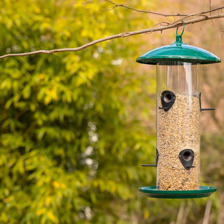 Vogelvoedersilo met groene kap en transparante cilinder, met voeropeningen en schotel