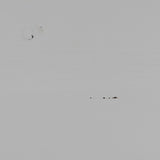 EVA MEIDENKAST GRENEN MIST [fsc]