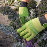 Groene gevoerde tuinhandschoenen tijdens het oogsten, met verstelbare zwarte manchetten.