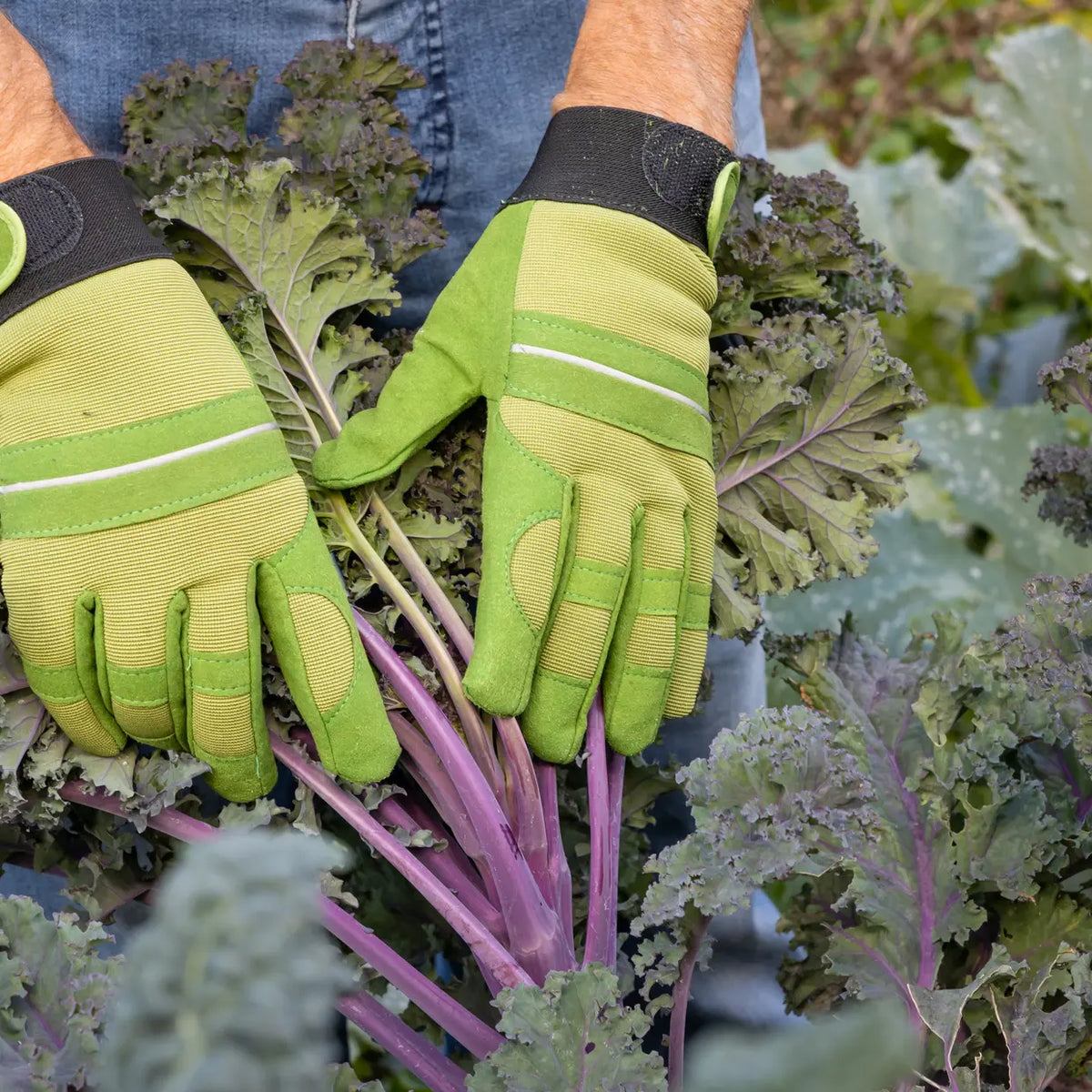 Groene tuinhandschoenen met gevoerde handpalmen en verstelbare polsbanden.