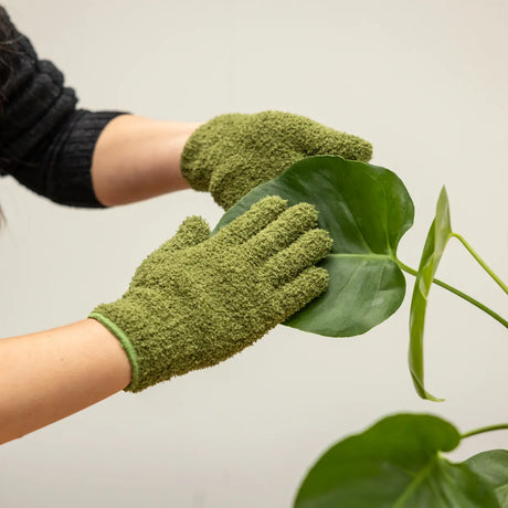 Groene planten-afstofhandschoenen met hand die een blad afstoft