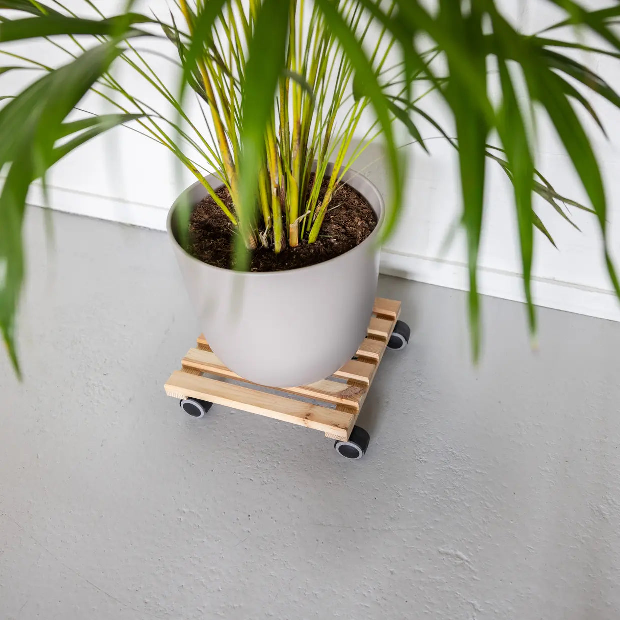 Plantentrolley naturel vierkant indoor L - Esschert Design
