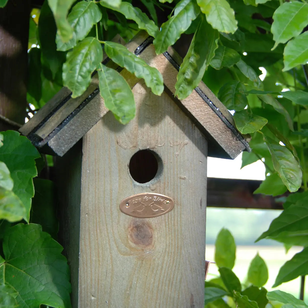 Houten vogelhuisje met rond invlieggat en metalen plaatje op het front, tussen bladeren