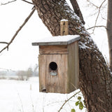 Esschert design - Nestkast Spreeuw