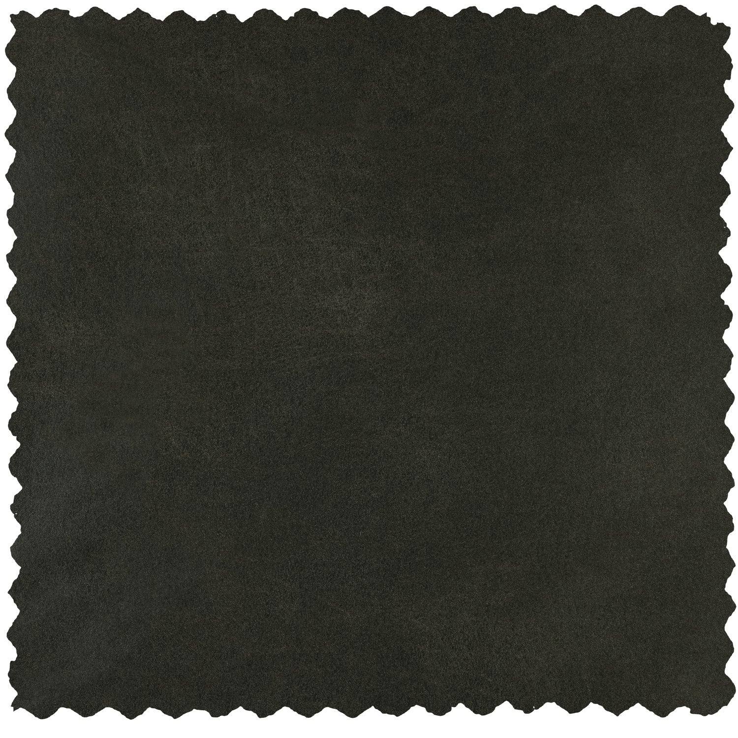 BEAN KUSSEN ECOLEER ARMY