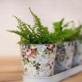 Esschert design - Roosprint 3 potjes op tray