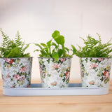 Esschert design - Roosprint 3 potjes op tray