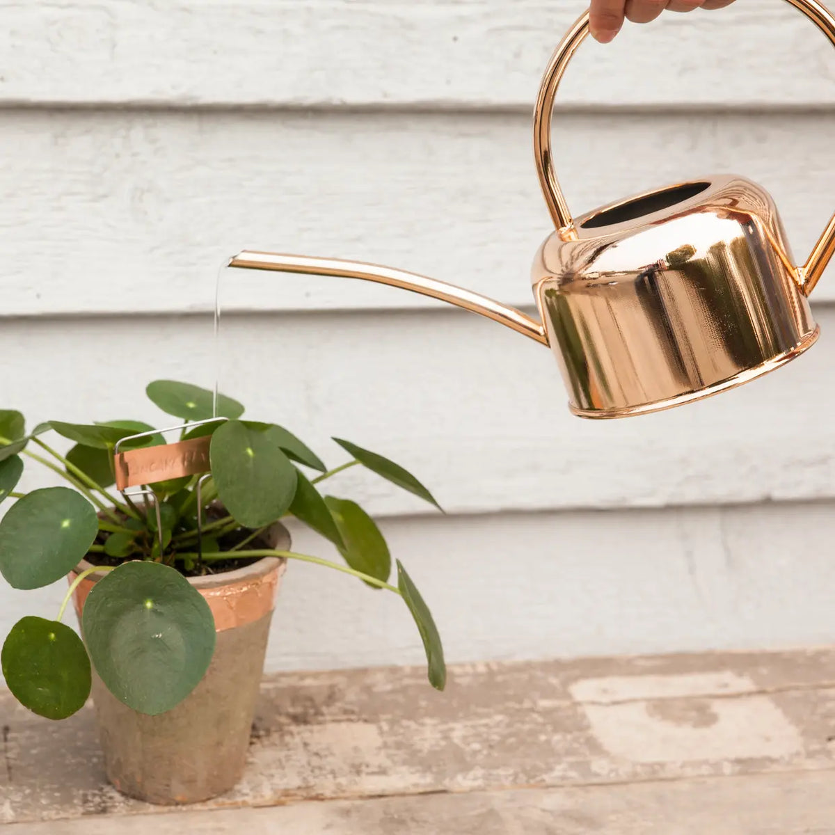 Esschert design - Plantengieter goud 1 liter