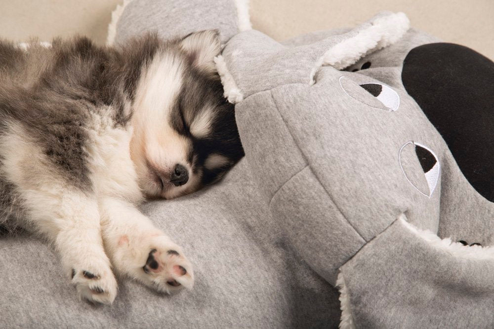 Beeztees - pup xl-knuffel boomba grs 7