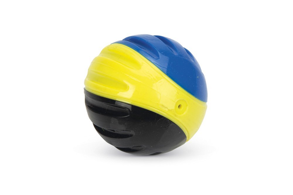 Beeztees - fetch tpr bal 2st blw/gl/zw