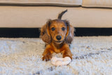 Beeztees - rubber dental ring puppy rz