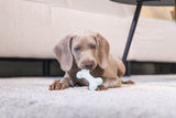 Beeztees - rub dental bot puppy grn 10