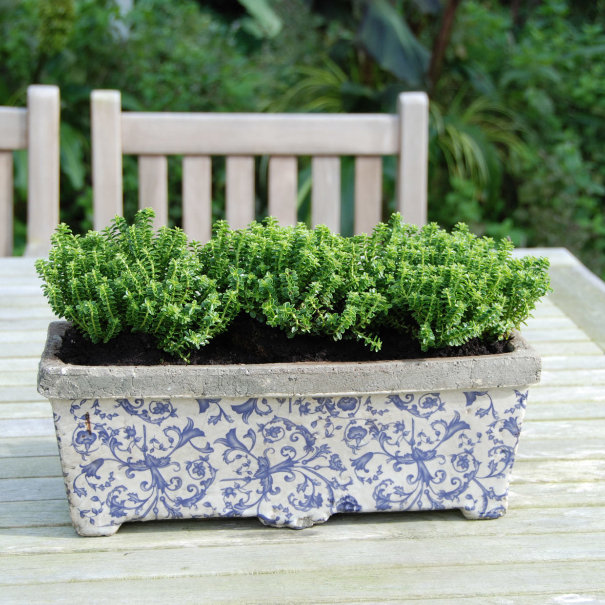 Esschert design - Aged ceramic balkonbak