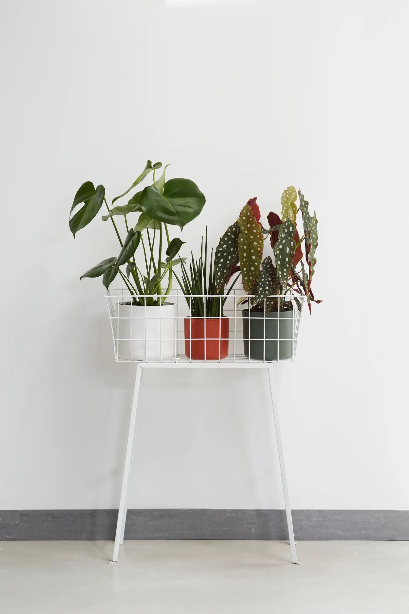Elho - b.for soft round 14cm white