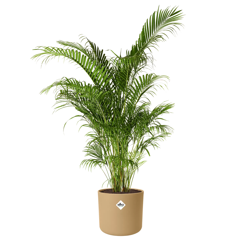 Elho - b.for soft rond 16cm goudkleurig zand