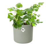 Elho - b.for soft rond 16cm steengroen