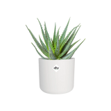 Elho - b.for soft round 14cm white