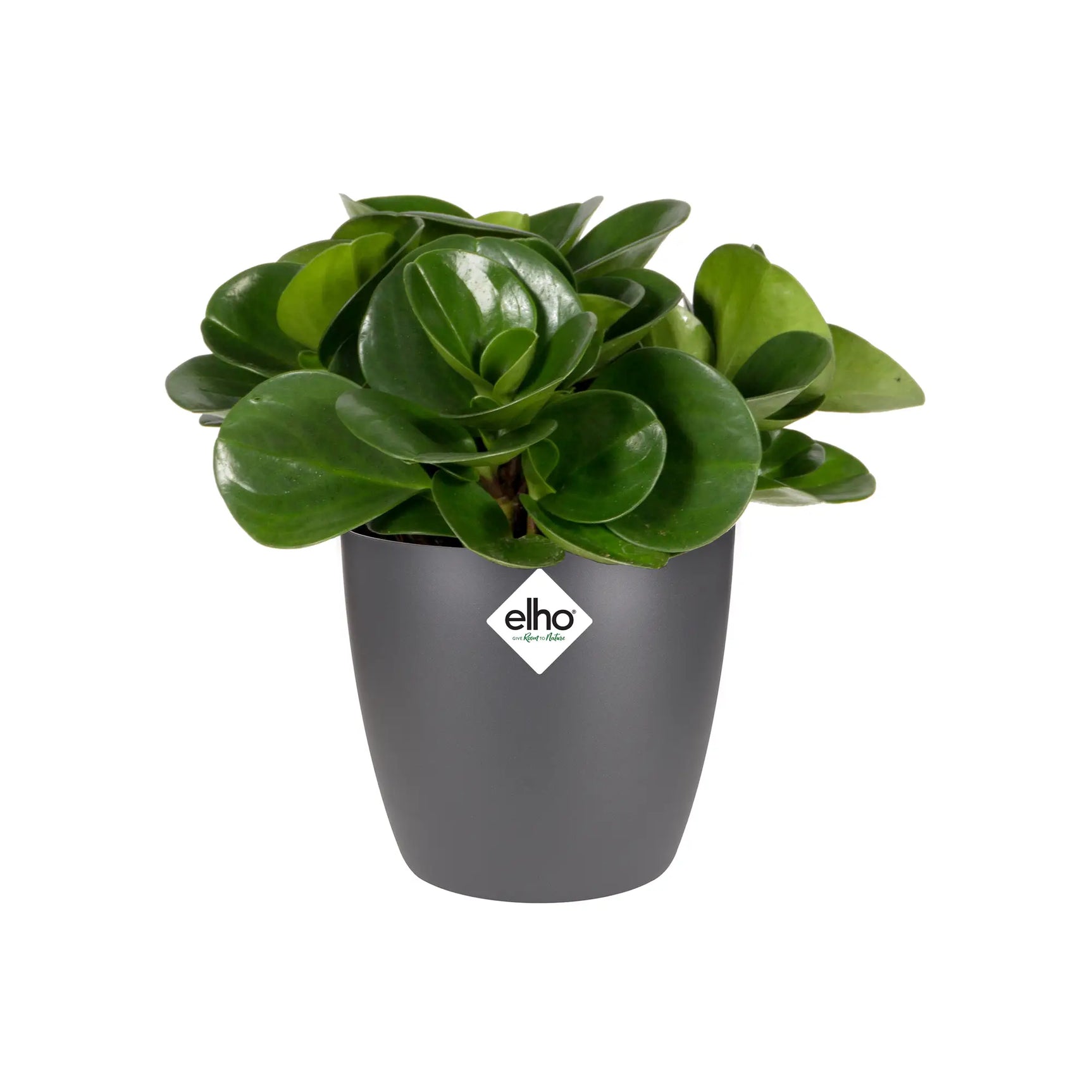 Elho - brussels round mini 12,5cm anthracite